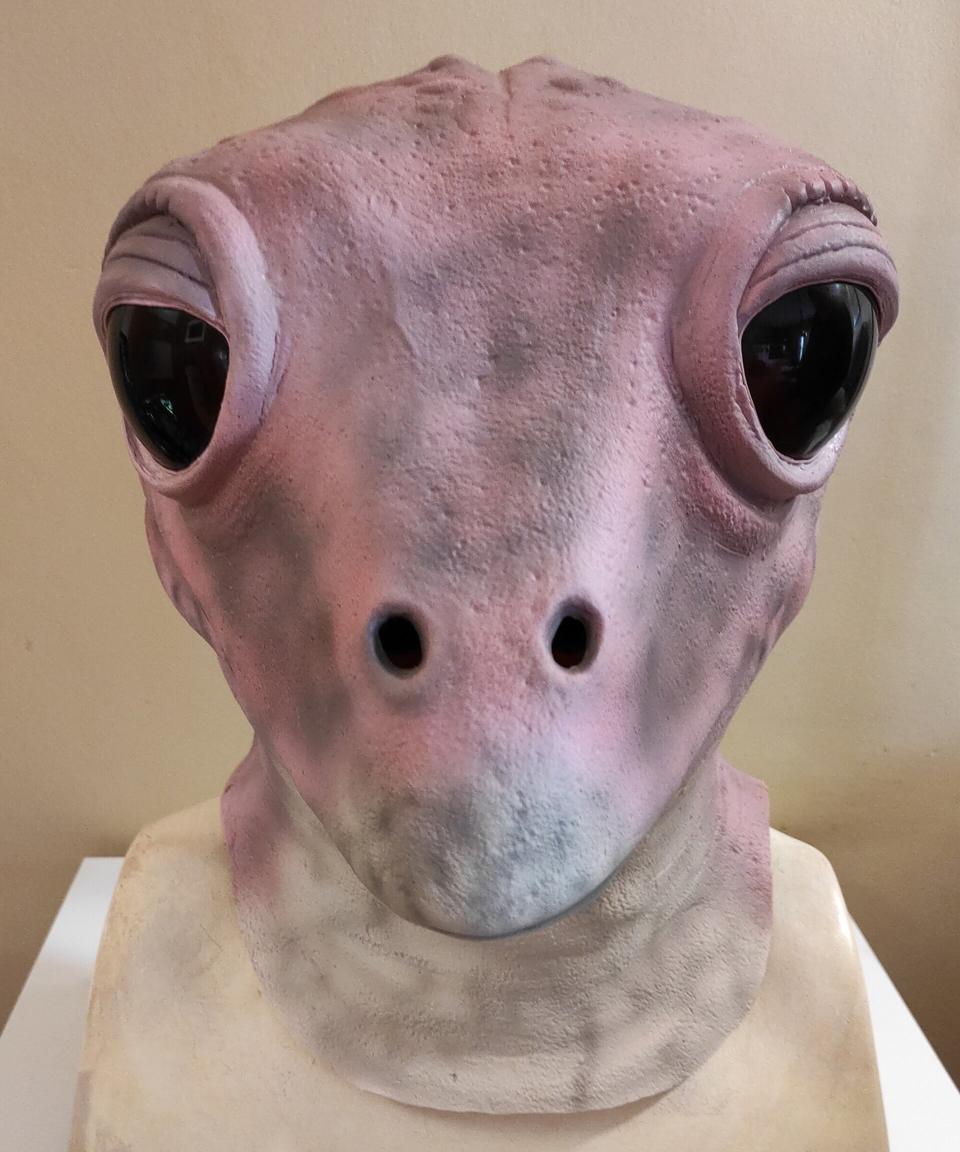 Frog Lady , Latex Mask - 4