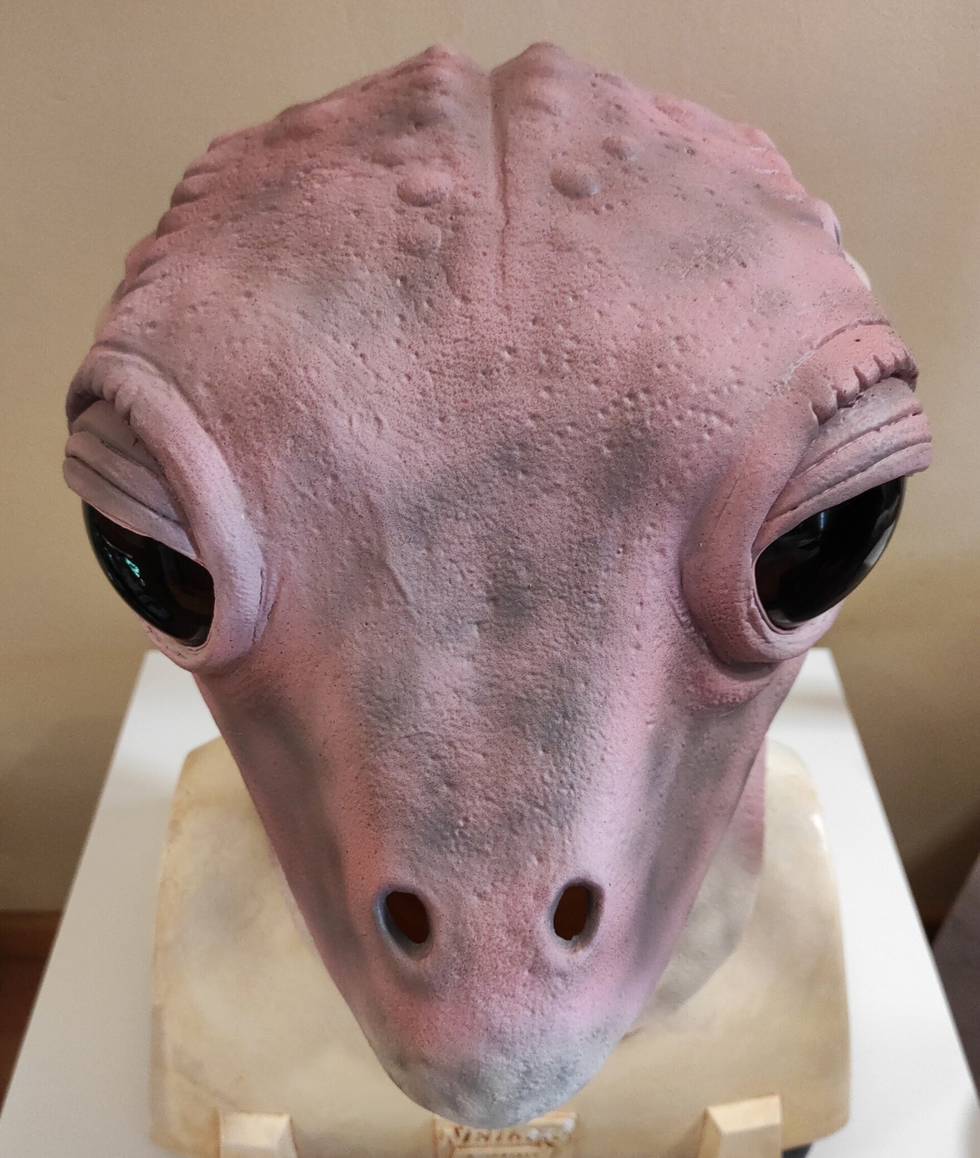 Frog Lady , Latex Mask - 5